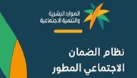 هل يمكن التقديم على الضمان الاجتماعي المطور لفرد مستقل عمره 19 سنة؟.. الضمان الاجتماعي يجيب