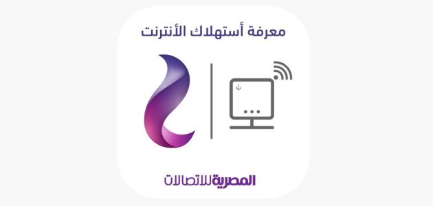 معرفة استهلاك النت الارضي we برقم التليفون