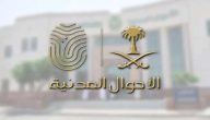 هل يمكن تغيير المهنة من طالبة إلى ربة أسرة إلكترونياً؟.. “الأحوال المدنية” تجيب