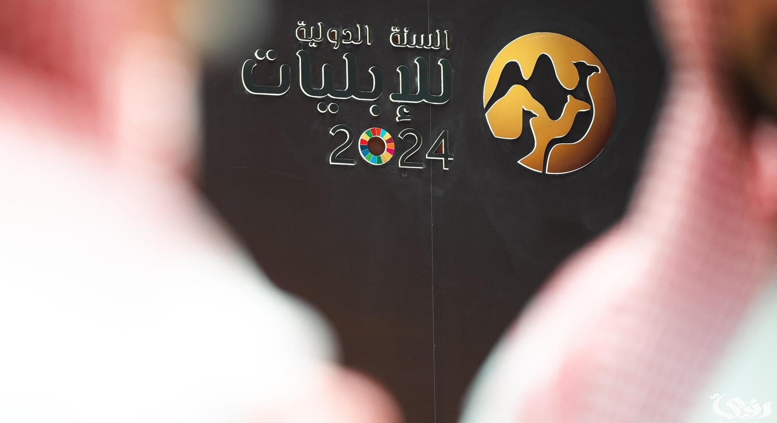 المملكة تستعرض جهودها لتطوير قطاع الإبل في إيطاليا