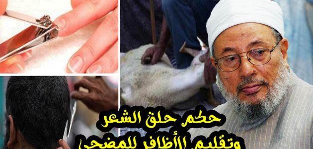 "المطلق": اجتناب تقليم الأظافر وقص الشعر للمضحي في العشر.. مستحب وليس واجبًا