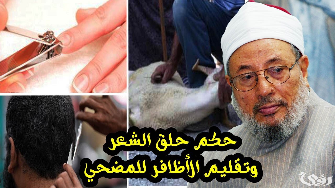 "هيئة كبار العلماء" اجتناب تقليم الأظافر وقص الشعر للمضحي في العشر مستحب وليس واجبًا 4 "المطلق": اجتناب تقليم الأظافر وقص الشعر للمضحي في العشر.. مستحب وليس واجبًا