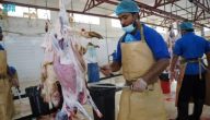 في وقت قياسي.. 15 ألف أضحية استقبلتها مسالخ جازان في العيد