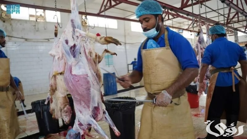 وقت قياسي وانسيابية ورقابة.. 15 ألف أضحية استقبلتها مسالخ جازان في العيد