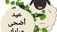 “عيد سعيد Happy Eid” بوستات عيد الاضحي للتهنئة للاحباب والاقارب 2026