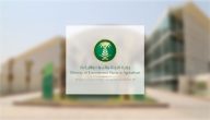 “وزراة الزراعة” تعلن البدء في إنشاء المصانع داخل المزارع