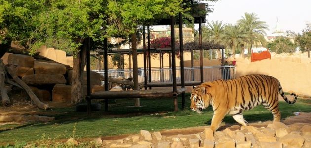 كود خصم حديقة الحيوان الرياض مجرب وفعال