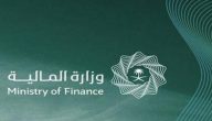 نموذج 47 العوائد السنوية جاهز