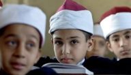 “بوابة الازهر الشريف”.. تعلن نتيجة الشهادة الابتدائية الأزهرية 2026 والإعدادية