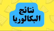 “bac.onec.dz resultat” نتائج البكالوريا 2026 في الجزائر