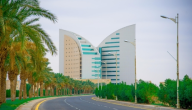 جامعة نجران تعلن إنطلاق برامج تدريبية مجانية لأفراد المجتمع