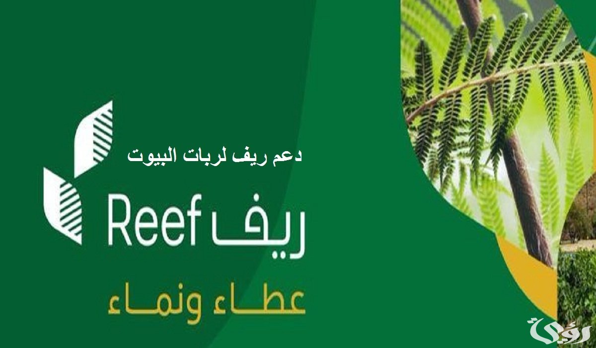 استعلام عن دعم ريف عن برقم الهوية 1446