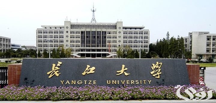 تكلفة الدراسة في الصين افضل الجامعات الصينية 2024