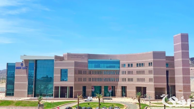 16 برنامجًا للماجستير.. جامعة الباحة تعلن مواعيد القبول في برامج الدراسات العليا