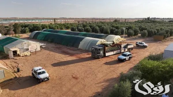 محمية الملك سلمان بالشراكة مع "مروج" يسعيان لتفعيل دور المتطوعين في تنمية الغطاء النباتي 2 محمية الملك سلمان و"مروج" يتعاونان لتفعيل دور المتطوعين في تنمية الغطاء النباتي