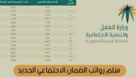 كم راتب الضمان الاجتماعي الجديد 1447؟.. “الموارد البشرية” تجيب