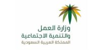 كم يصرف الضمان الاجتماعي للفرد 1447 ؟.. “وزارة العمل” تجيب