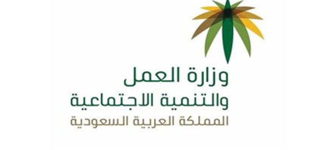 كم يصرف الضمان الاجتماعي للفرد 1446