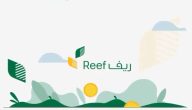 متى ينزل دعم ريف هذا الشهر؟