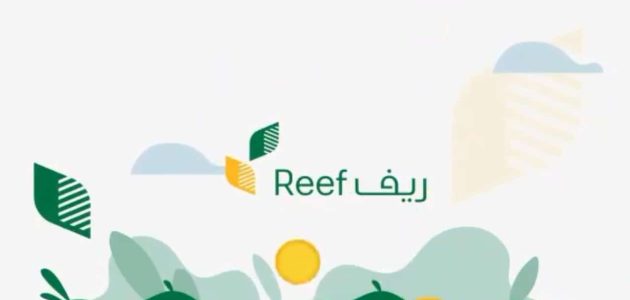 متى ينزل دعم ريف هذا الشهر العد التنازلي لموعد صرف ريف