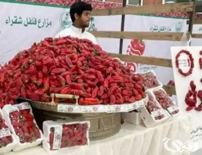 محافظ شقراء يدشّن فعاليات مهرجان "فلفل شقراء الرابع"