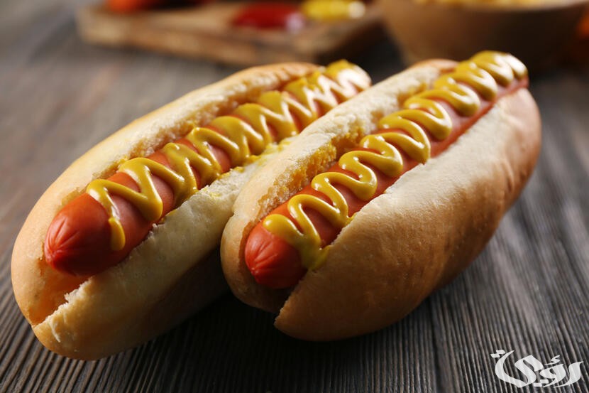 دراسة جدوى توريد الخبز لمطاعم الوجبات السريعة