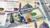 ما هو معنى تحرير سعر الصرف “التعويم” وتأثيره على الاسعار
