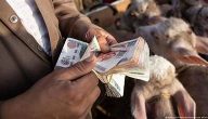 أزمة الإيجارات وانفجار في أسعار العقارات في مصر بسبب الوافدين