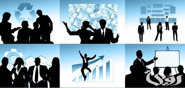 الفرق بين المنظمة والمؤسسة والشركة