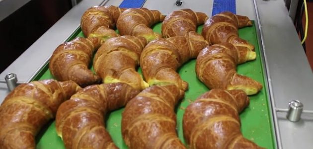 دراسة جدوى مشروع صناعة المعجنات