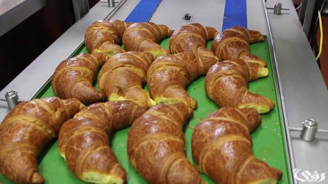 دراسة جدوى مشروع صناعة المعجنات