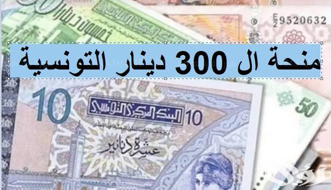 رابط سريع… التسجيل في منحة 300 دينار تونس 2024 والاستفادة من الدعم بالشروط الــ 5