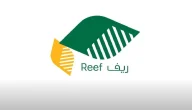 شروط الحصول على دعم صغار الصيادين؟.. “وزارة البيئة” تجيب
