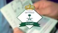 هل خبر زيادة الجنسيات المعفاة من رسوم المرافقين بمناسبة اليوم الوطني 94 صحيح؟