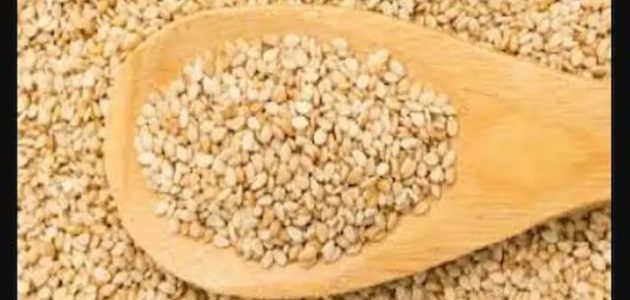 سعر كيلو السمسم في مصر اليوم 2025