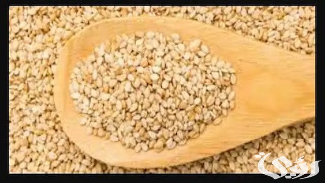 أسعار كيلو السمسم في مصر اليوم 2026 5 سعر كيلو السمسم في مصر اليوم 2025