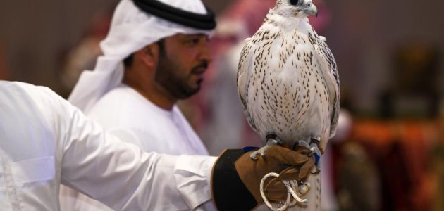 وش موعد معرض الصقور والصيد السعودي 1446؟ وزارة الثقافة توضح الأمر