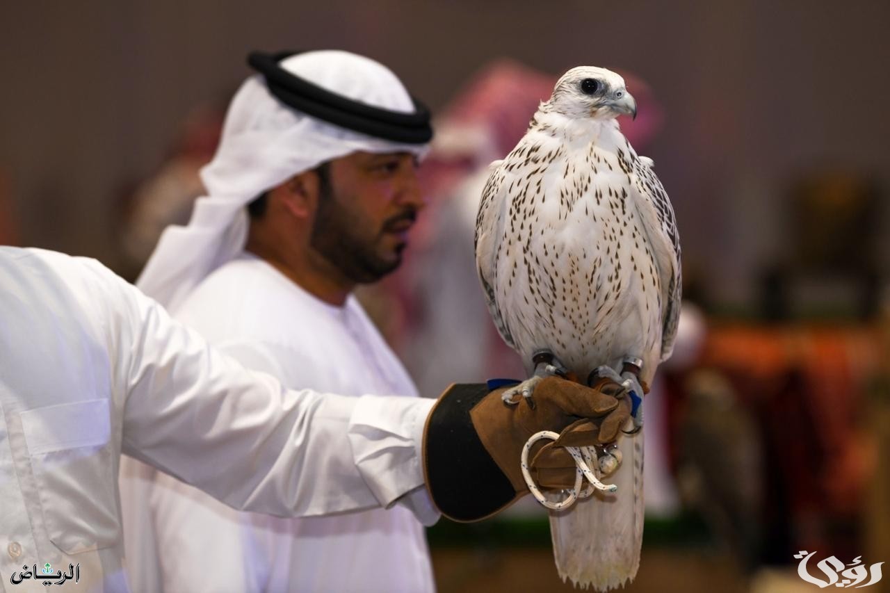وش موعد معرض الصقور والصيد السعودي 1446؟ وزارة الثقافة توضح الأمر
