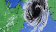 حالة الطقس: منخفض جنوب بحر العرب الجوي يتعمق إلى منخفض مداري ويتحرك باتجاه وسط بحر العرب