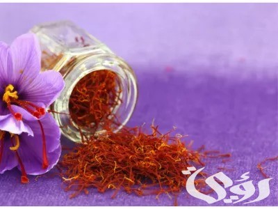 سعر كيلو الزعفران الأصلي في مصر 2025
