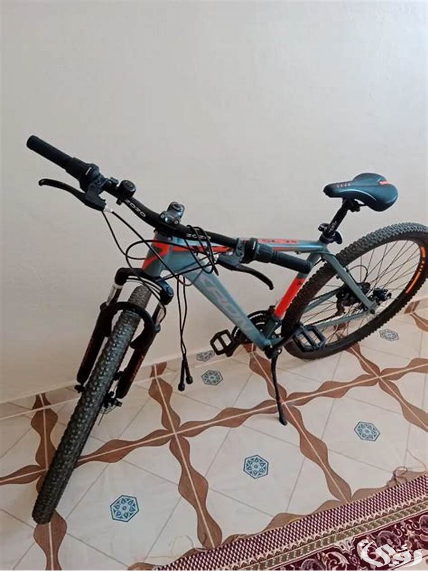 ما هي أسعار دراجات فونيكس Phoenix في مصر