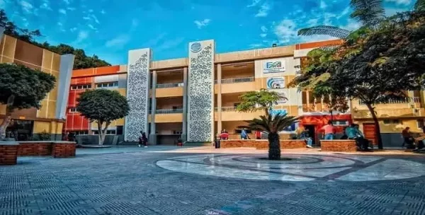 مصاريف و تنسيق كلية BIS بالزمالك وشروط التقديم 2026 2 مصاريف و تنسيق كلية BIS بالزمالك مع شروط التقديم 2024-2025