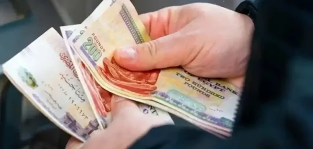 زيادة المعاشات شهر يناير 2025: التفاصيل والخطوات للاستعلام