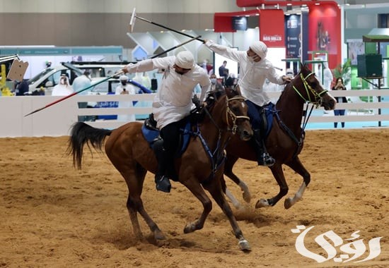 «عاجل».. بجائزة تصل إلى 10 مليون ريال  انطلاق العرض الدولي السابع لجَمال الخيل غدا الأربعاء