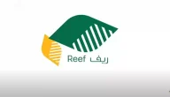 “متى الإيداع”.. موعد صرف دعم ريف يناير 2026 وخطوات الاستعلام reef.gov.sa