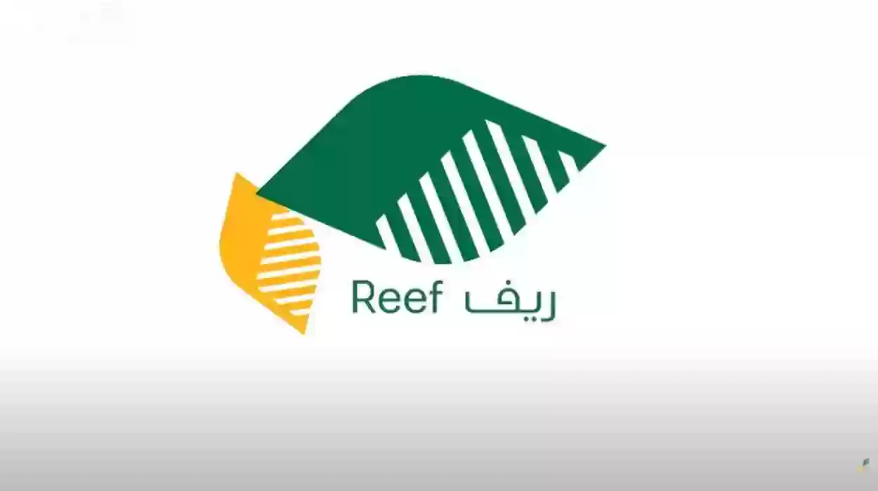 “اقترب الإيداع” موعد صرف دعم ريف يناير 2025 وخطوات الاستعلام reef.gov.sa