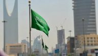 بشروط وزارة العمل.. الاستعلام عن عامل وافد في السعودية 1447