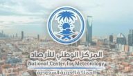 المركز الوطني للأرصاد: عاصفة ترابية وانخفاض حاد في درجات الحرارة يضرب مناطق واسعة في السعودية الليلة