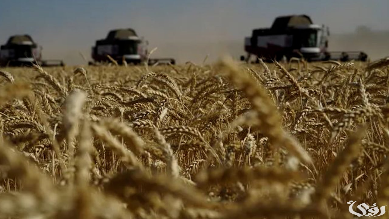 بعد دعمها لـ “بشار الأسد” | روسيا تعلق إصدار إمدادات القمح لـ “سوريا”