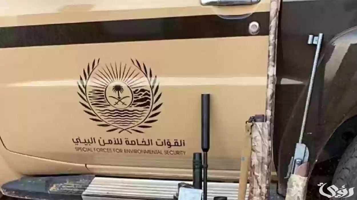 "تصل الي 3 الاف ريال":.. الأمن البيئي يضبط مواطنين يقوم بالتخييم بدون رخصة 3 غرامة تصل إلى 3 آلاف ريال | الأمن البيئي يضبط مواطنين يقوم بالتخييم بدون رخصة